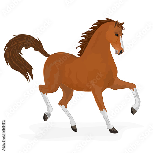 Horse running