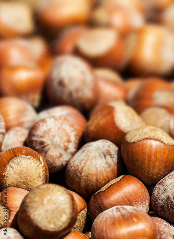 Hazelnuts background macro. Heap of hazel nuts background close Hazelnuts background macro. Heap of hazel nuts background close