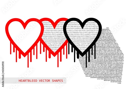 Heartbleed openssl bug vector shape