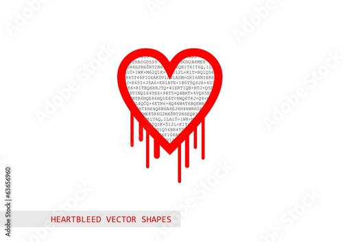 Heartbleed openssl bug vector shape
