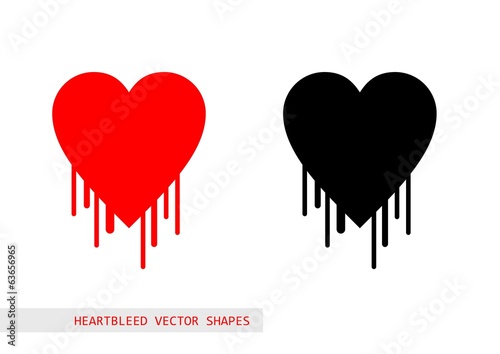 Heartbleed openssl bug vector shape
