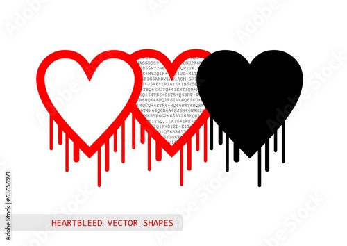 Heartbleed openssl bug vector shape