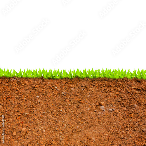 cross section of grass and soil against white background