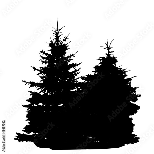 Tree Silhouette Isolated on White Backgorund. Vecrtor Illustrati
