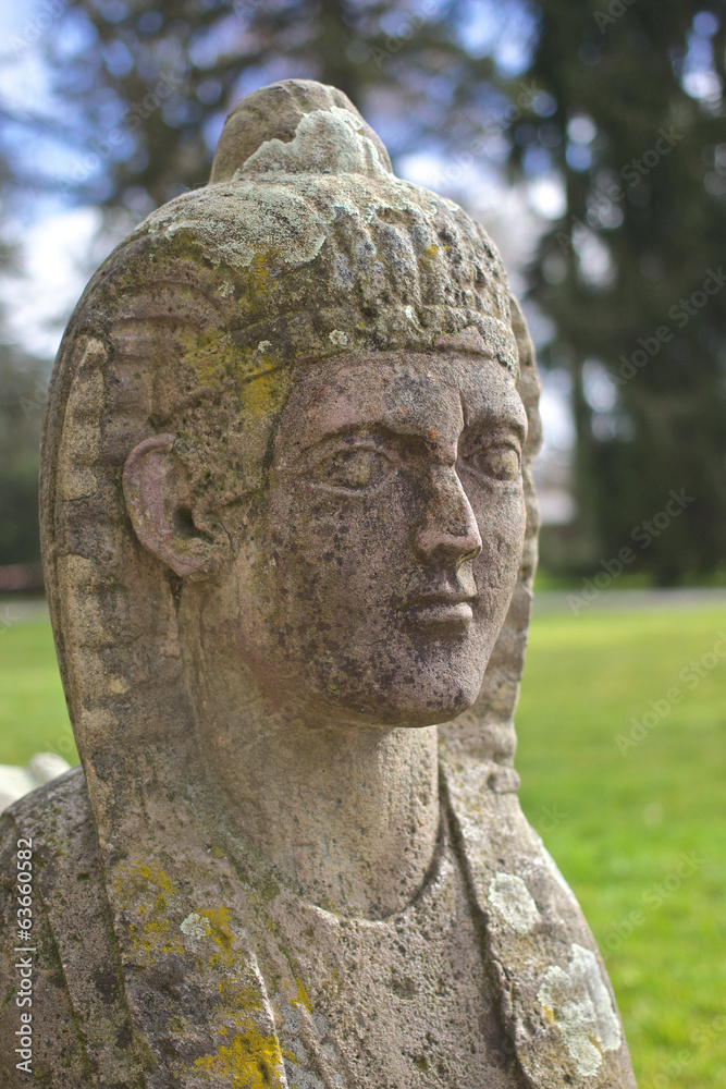 Stone Sphinx Portrait