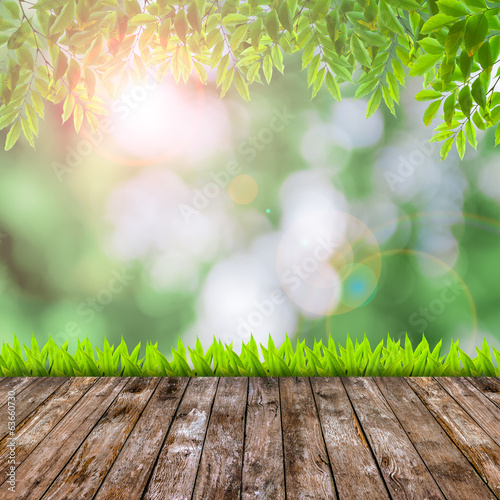 Fresh spring green grass with green bokeh and flare and wood flo