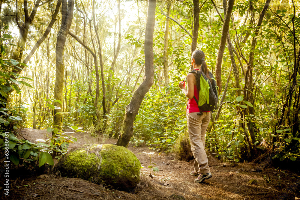 woman hiking in tropical forest woman hiking in tropical forest