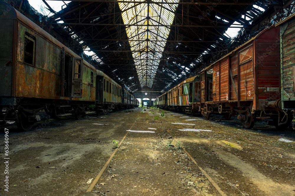 Cargo trains in old train depot