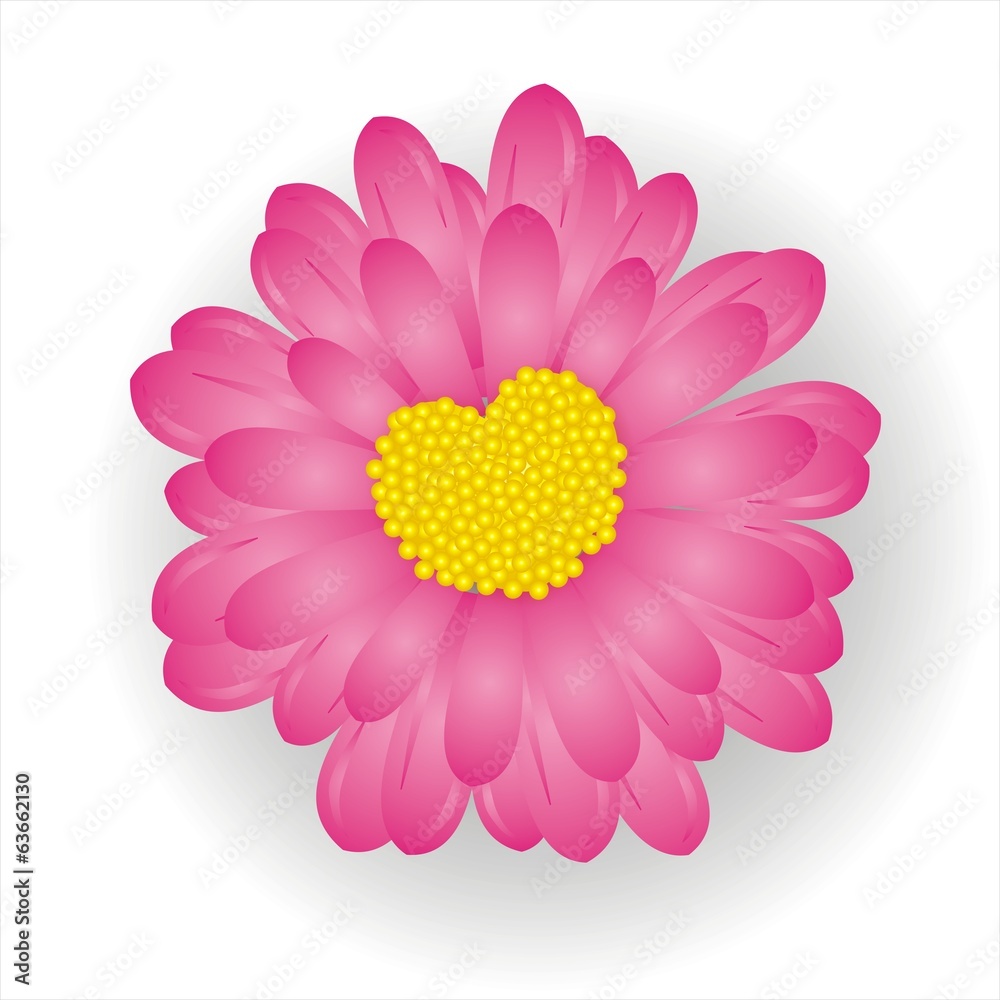 pinke Blume mit Herz