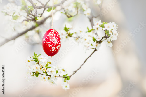 Easter traditional egg hanging on bough with cherry blossom