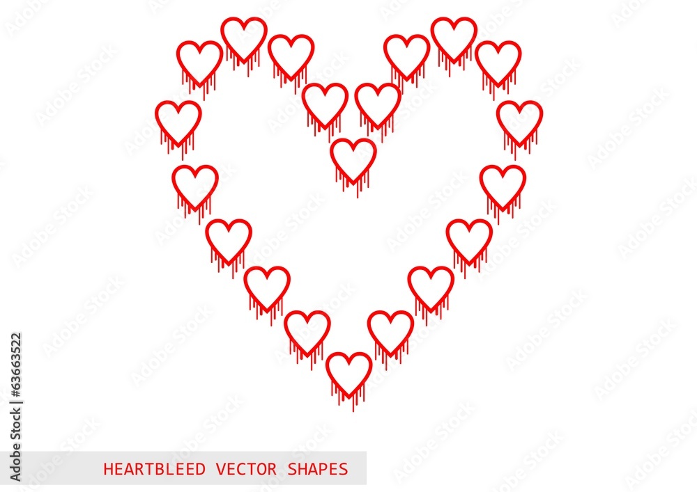 Heartbleed openssl bug vector shape