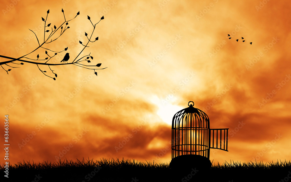 Obraz premium birdcage silhouette