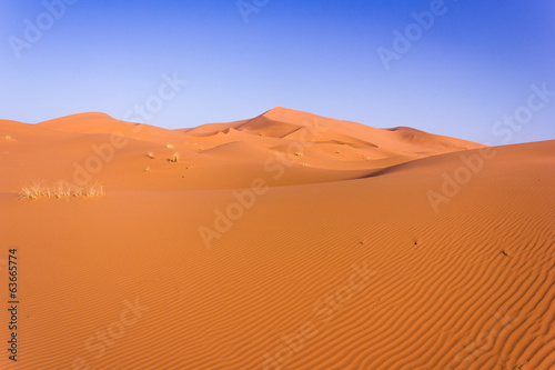 Sahara © giacomobo