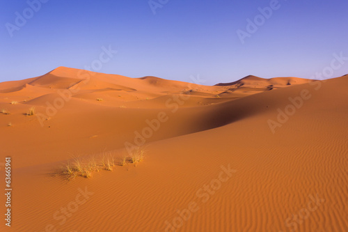 Deserto del Sahara