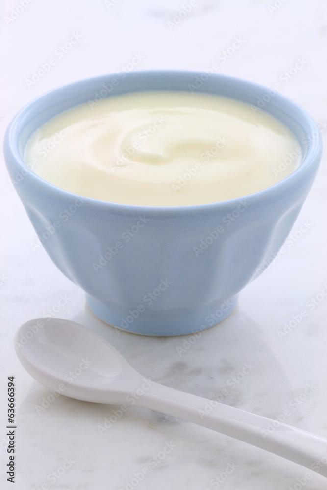 Fresh plain yogurt Fresh plain yogurt
