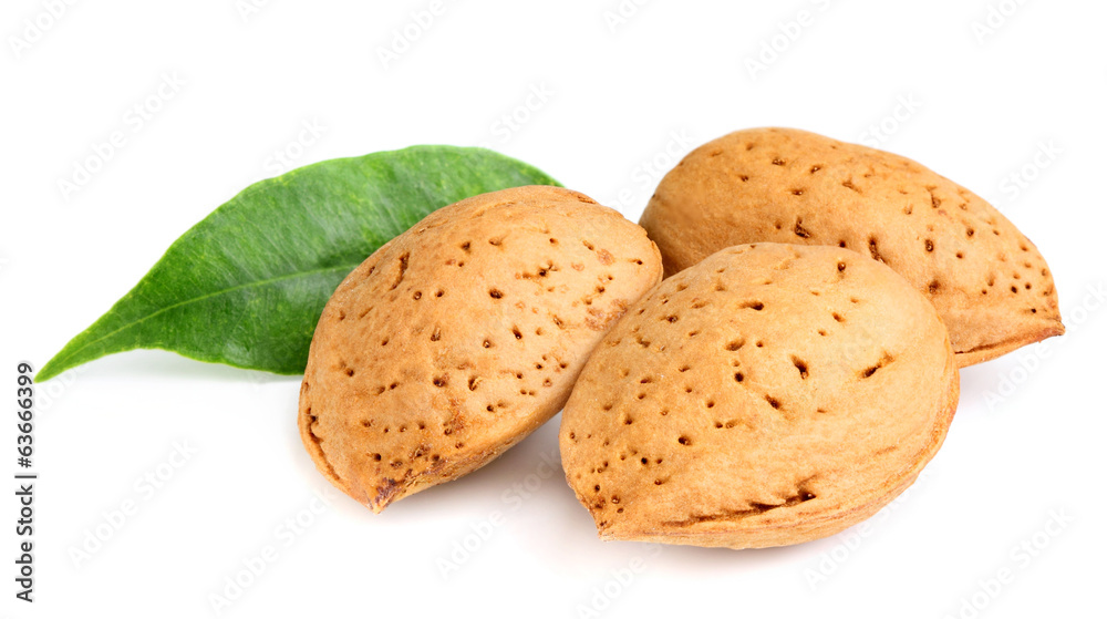 Almonds in shell with leaf. Almonds in shell with leaf.