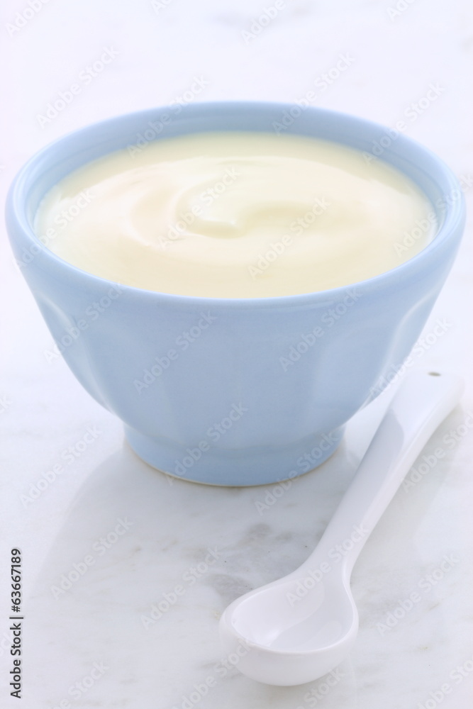 Fresh plain yogurt Fresh plain yogurt