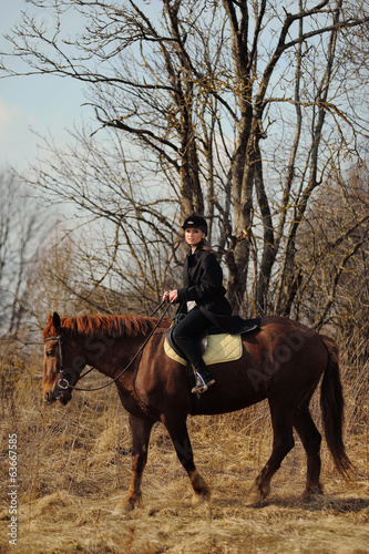 portrait of a beautiful girl on a horse © moisevich