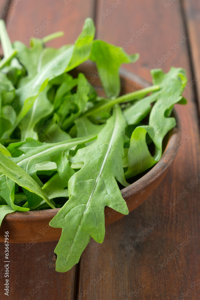 Fototapeta premium arugula