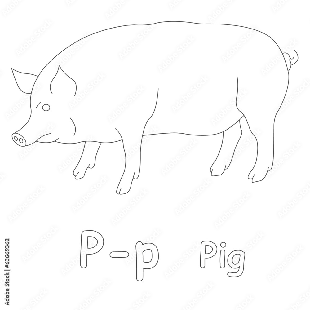 Fototapeta premium P for Pig Coloring Page