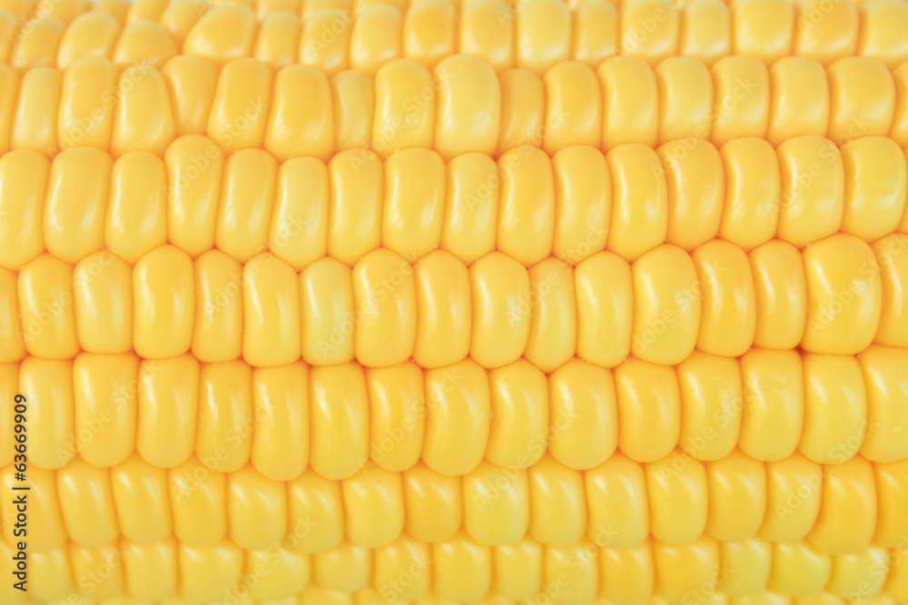 Grains of ripe corn