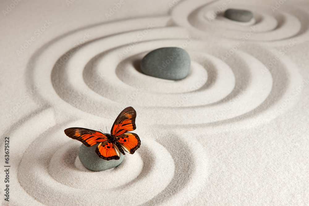 Fototapeta Zen skały z motylem