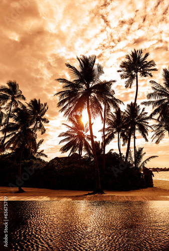 Tropical beach on sunset