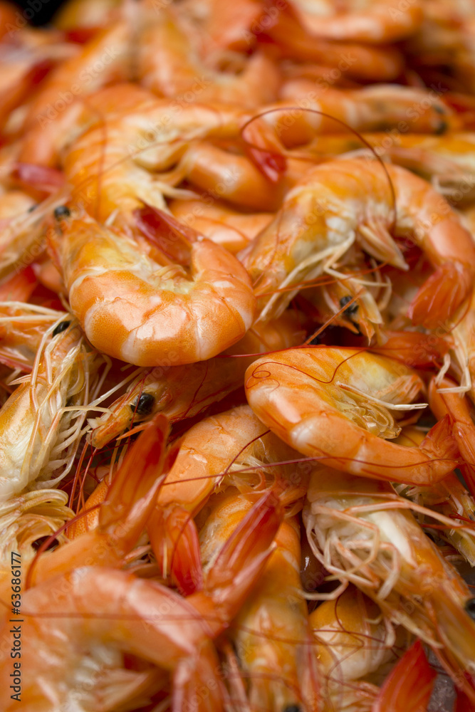 boiled Shrimp boiled Shrimp