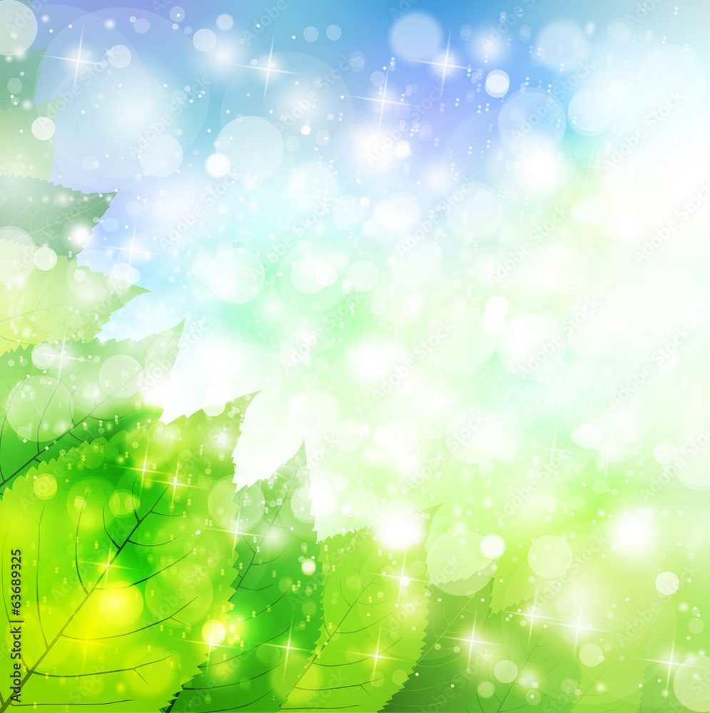 Obraz premium 葉 空 風景