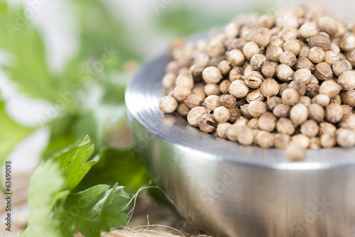 Bowl with Coriander Seeds