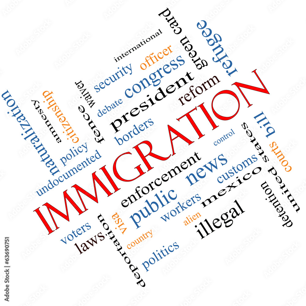 Immigration Word Cloud Concept Angled