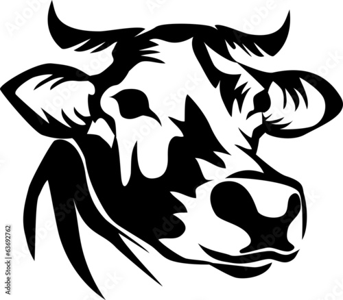 head of cow