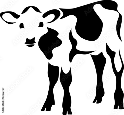 calf