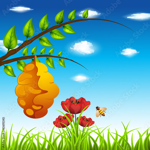 Landscape
