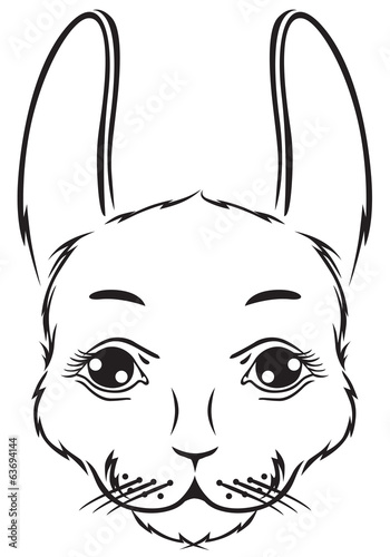Cute bunny muzzle