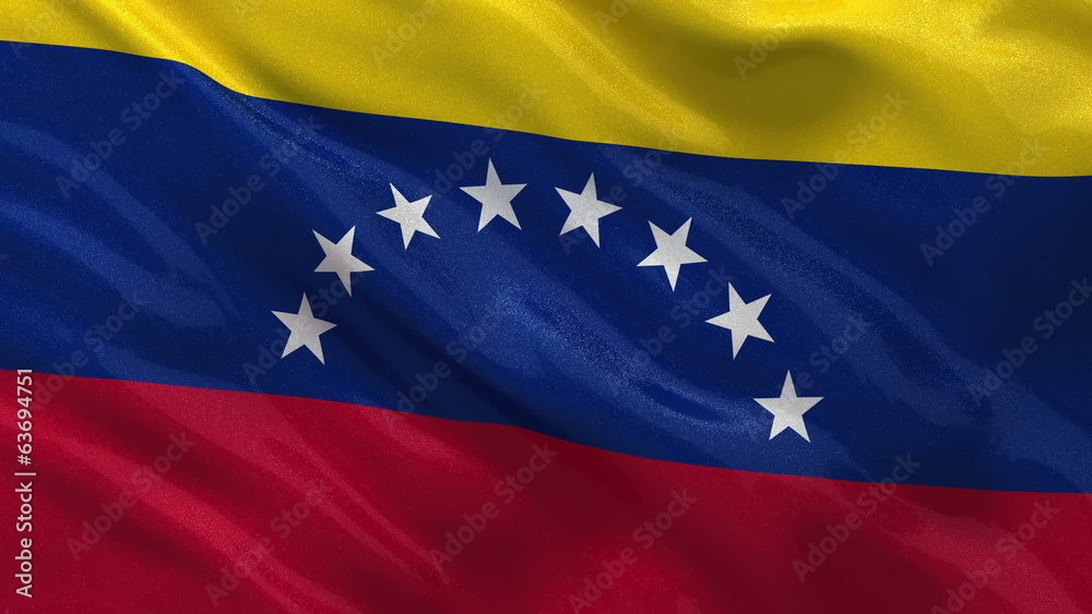Flag of Venezuela waving in the wind - seamless loop Flag of Venezuela waving in the wind - seamless loop