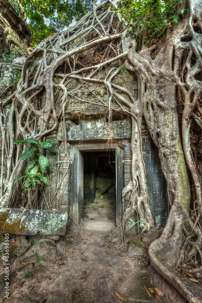 Ancient stone door and tree roots, Ta Prohm temple, Angkor, Camb