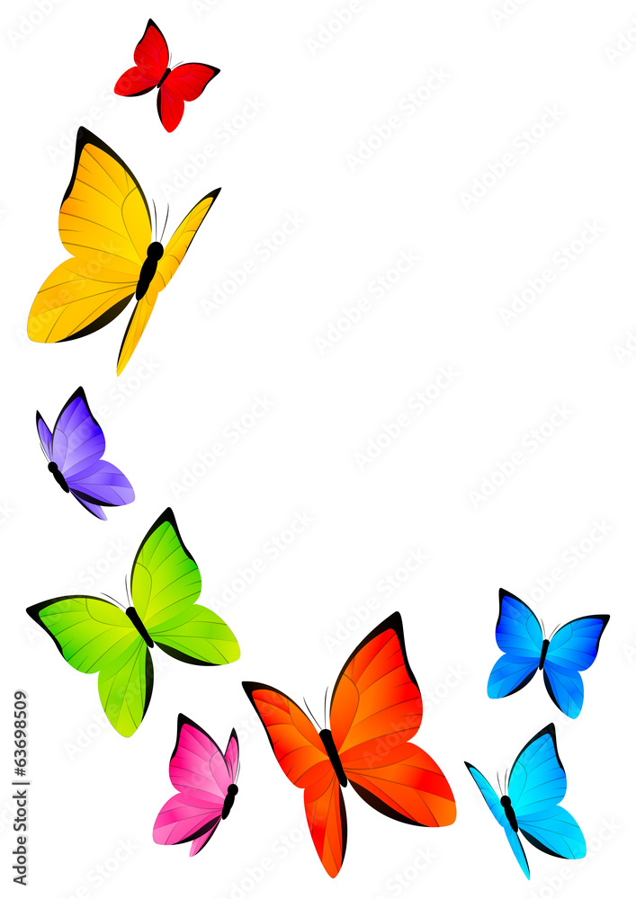 Obraz premium Color butterflies for Your design