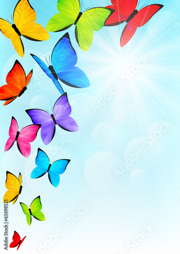 Color butterflies on sunny sky background