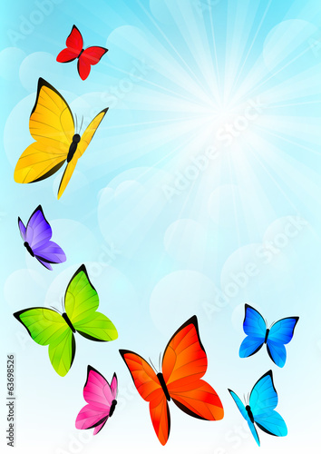 Color butterflies on sunny sky background