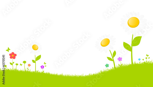 Grüne Blumenwiese