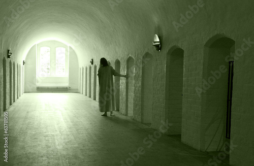 Принти на полотні Lunatic asylum