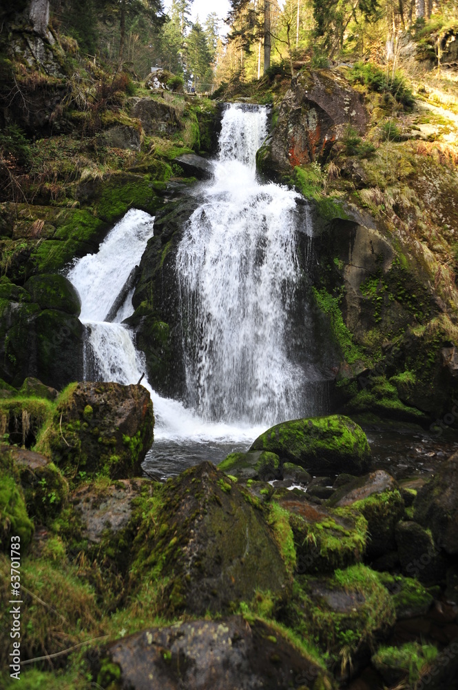 Triberg Waterfalls in Black Forest (Schwarzwald), Germany Triberg Waterfalls in Black Forest (Schwarzwald), Germany