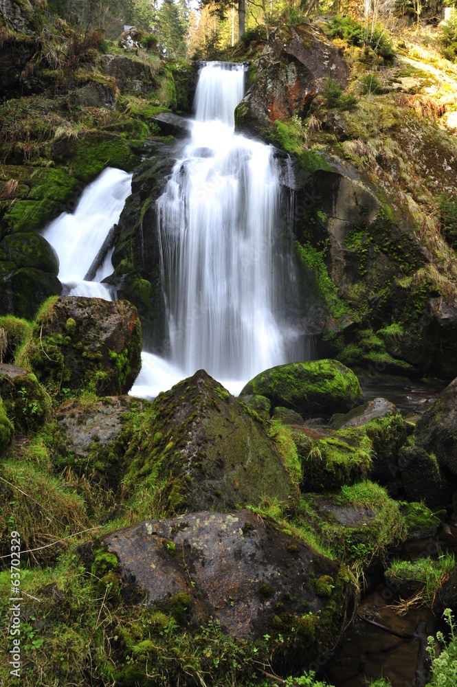 Obraz premium Triberg Waterfalls in Black Forest (Schwarzwald), Germany