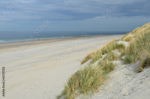 Dunes  beach and sea in Zeeland  Netherlands