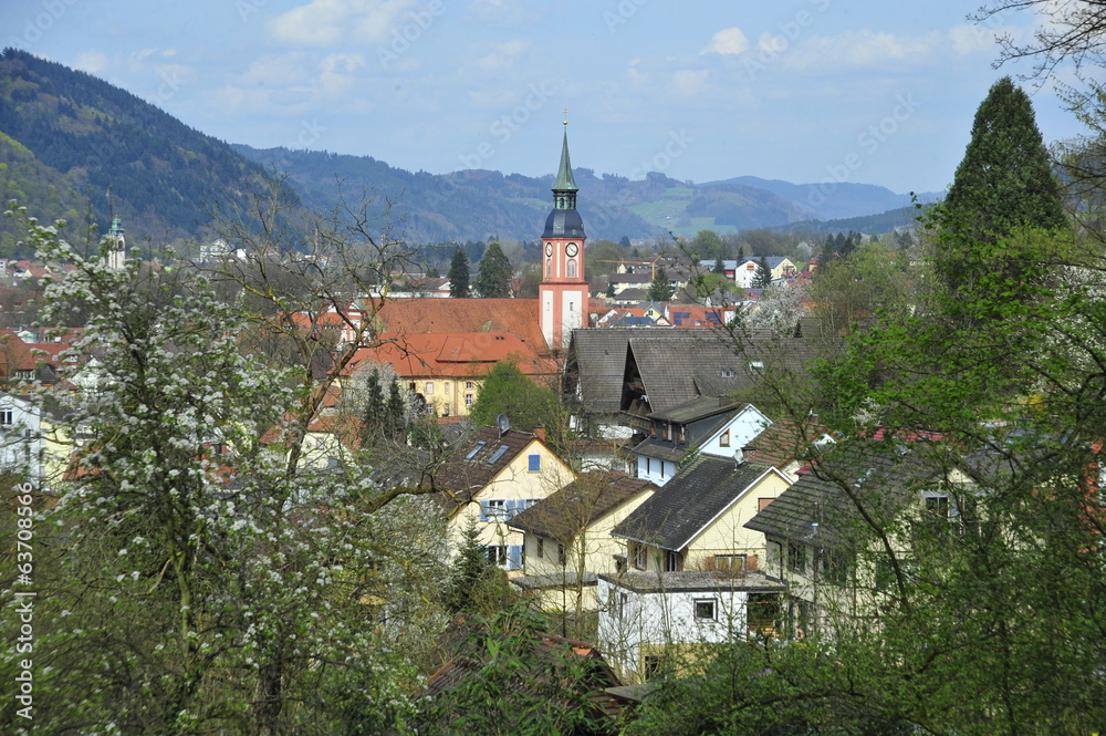 View on Waldkirch in the Black Forest, Germany