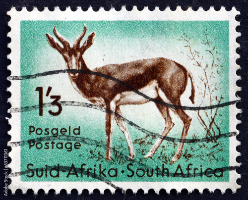 Postage stamp South Africa 1954 Springbok, Antelope