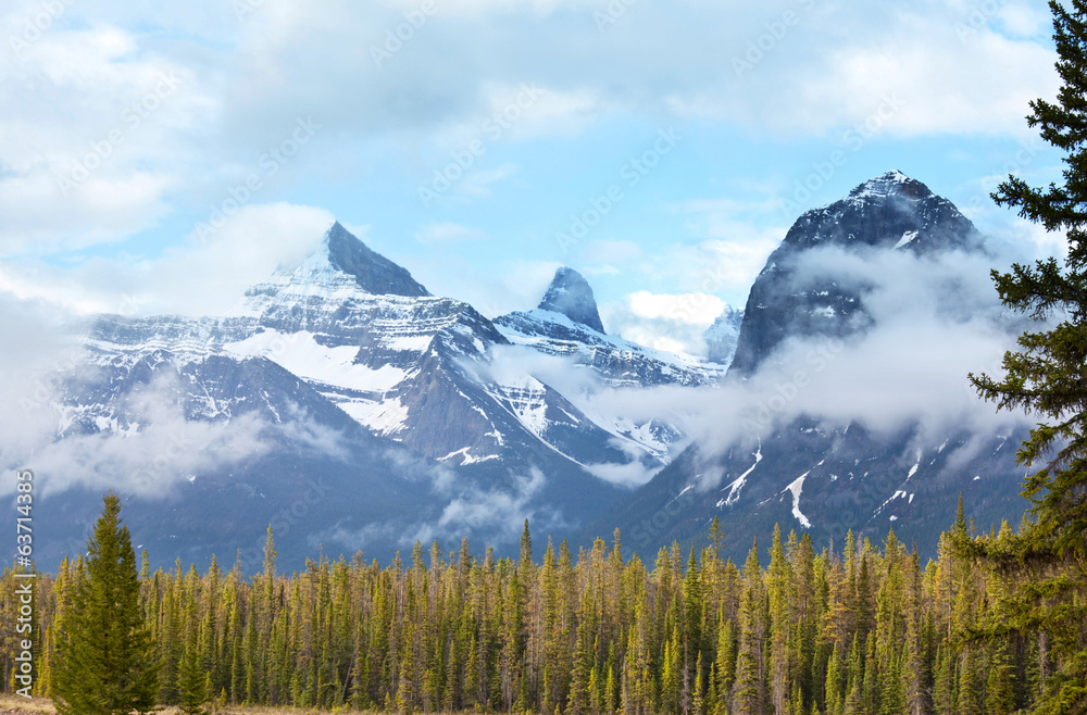 Obraz premium Canadian mountains