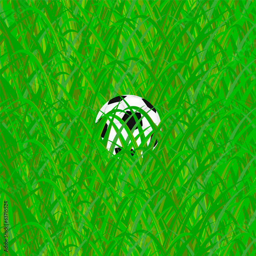 soccer ball in grass