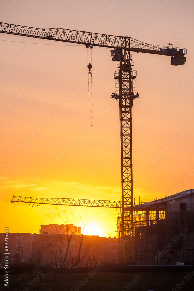 Cranes on a sunset background